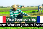 FARM JOBS IN FRANCE FOR INTERNATIONAL CITIZENS WITH VISA SPONSORSHIP 2024