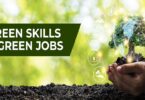 Green Jobs with No Experience: Your Guide to a Sustainable Career Path