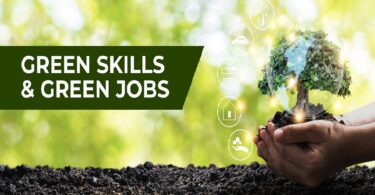 Green Jobs with No Experience: Your Guide to a Sustainable Career Path